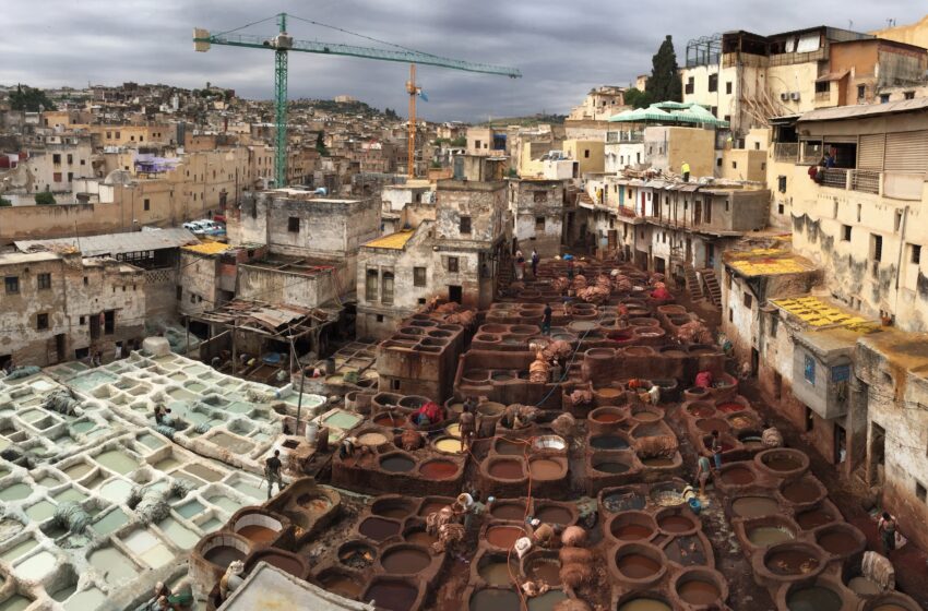  La medina de Fez y mucho más