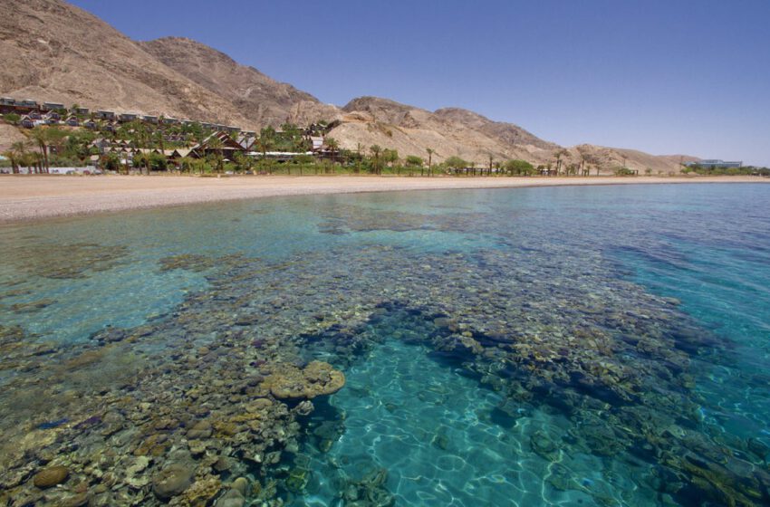  Recorriendo el Sur de Israel: Eilat, desierto del Negev, Mar Muerto y Masada