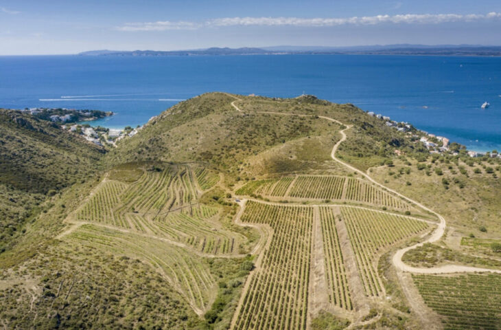 Rutas del vino en Roses 