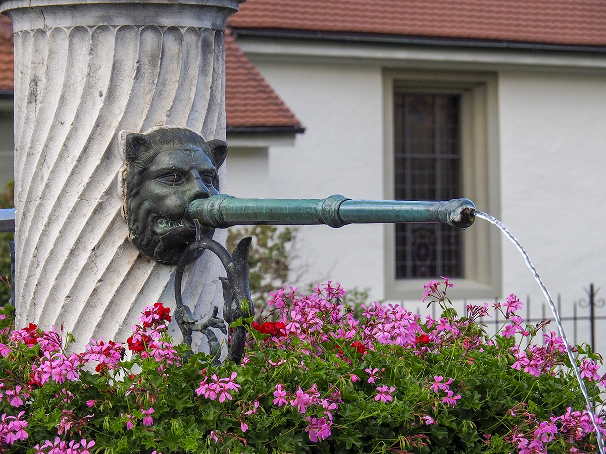 Cómo visitar y lo mejor que ver en la histórica ciudad de Fribourg