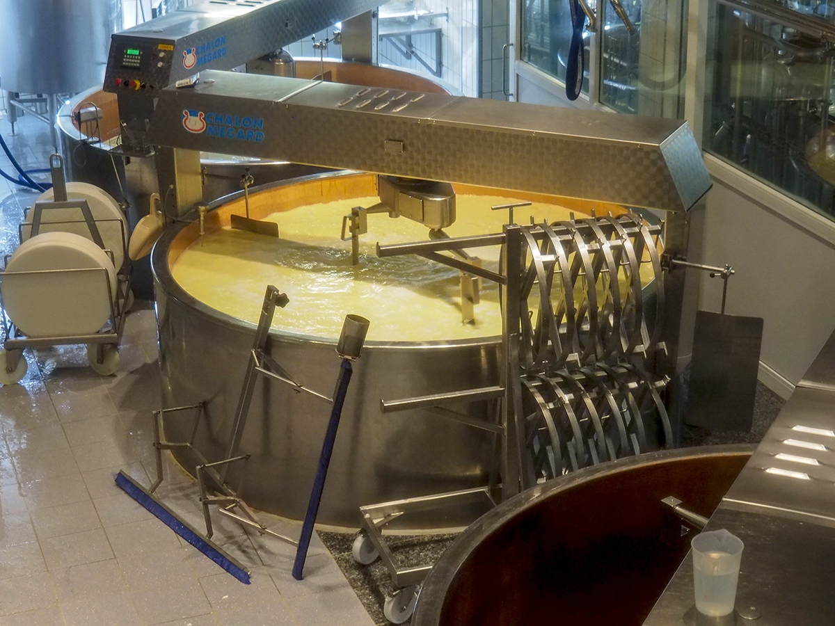 Cuba de leche para procesar el queso de Gruyere
