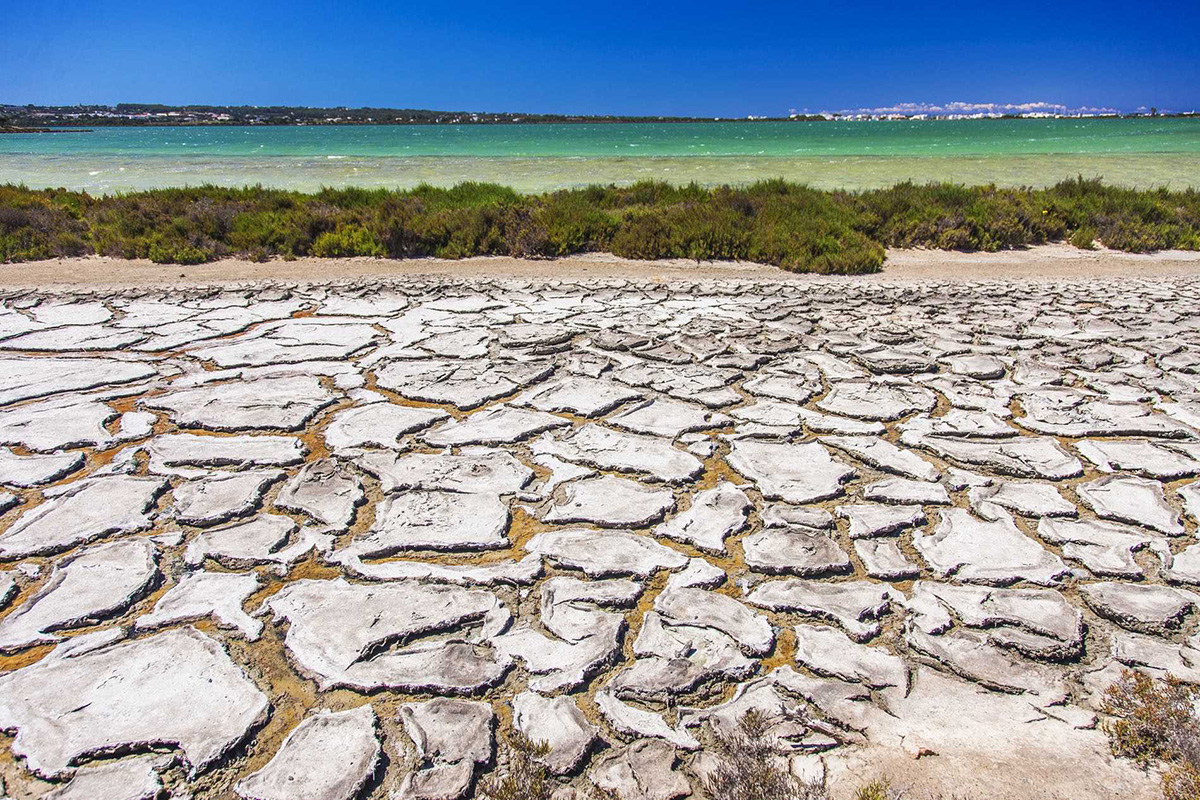 ESTANY PUDENT TERRA