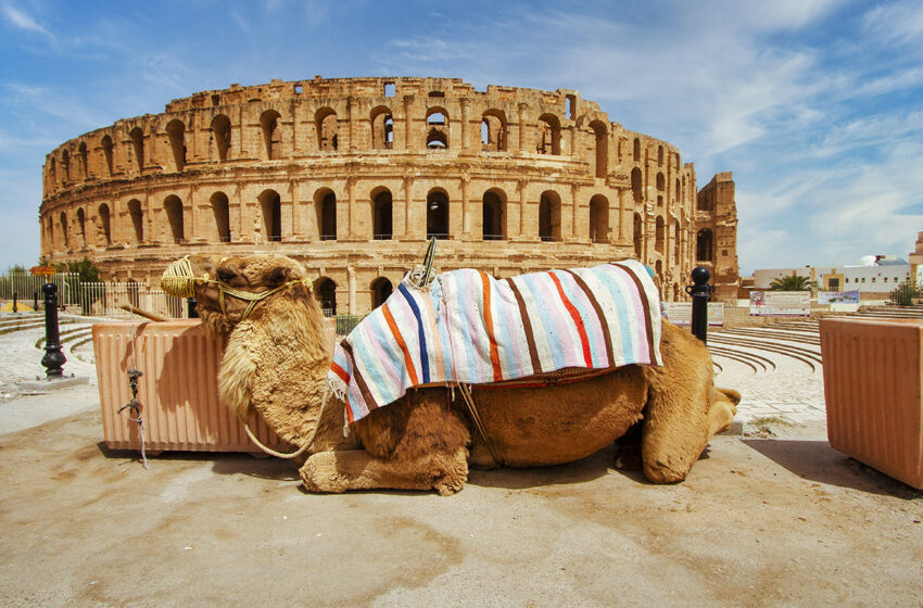  El anfiteatro de El Djem en Túnez