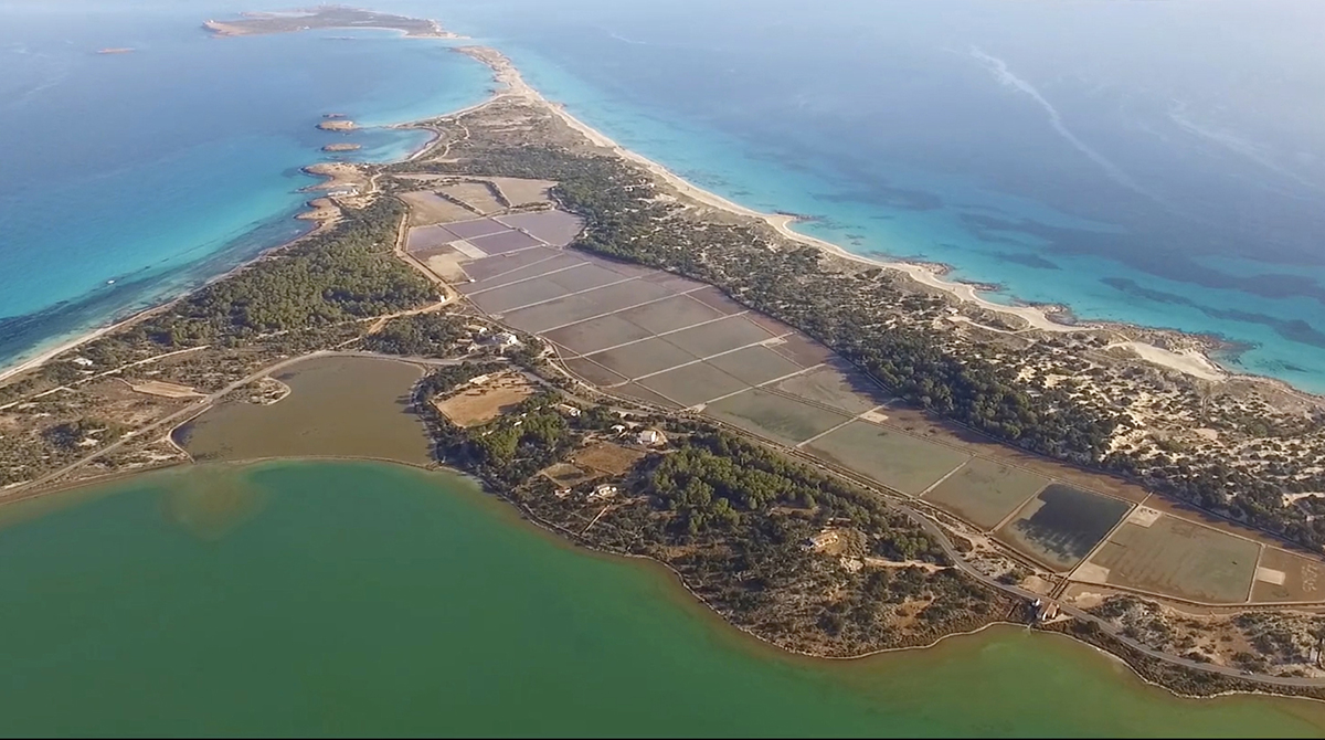 Parque Natural Ses Salines