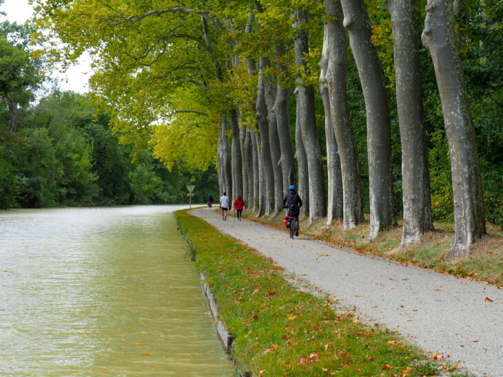 Caminos de Sirga junto al canal de Midi