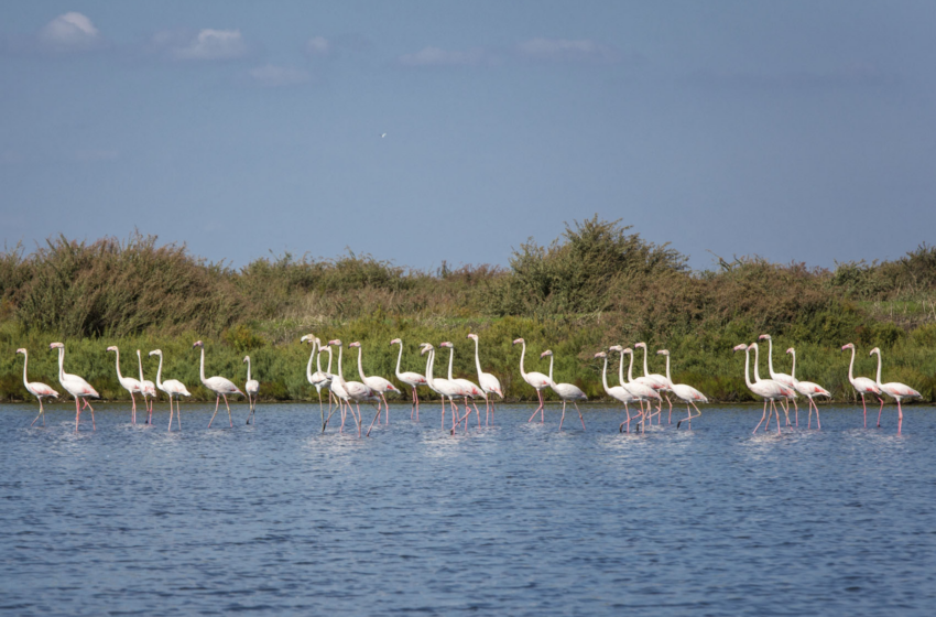  Lugares imperdibles de la naturaleza de Lisboa