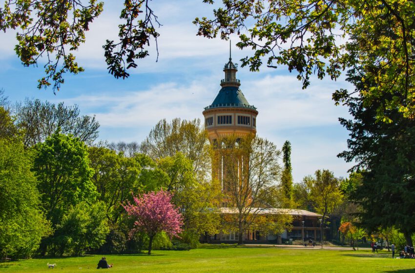  Budapest se tiñe de rosa con la floración de los cerezos