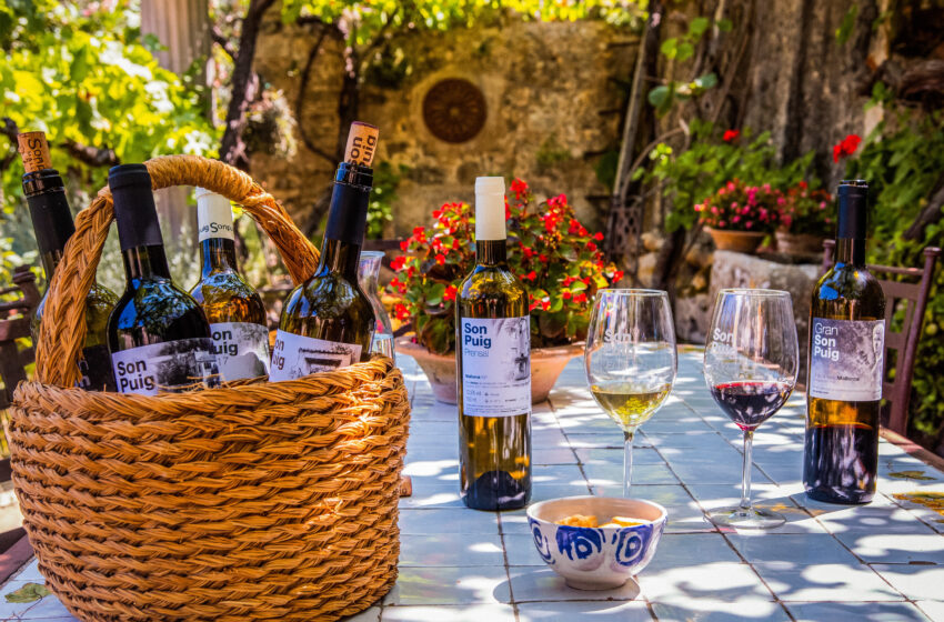  Un viaje vinícola por Islas Baleares
