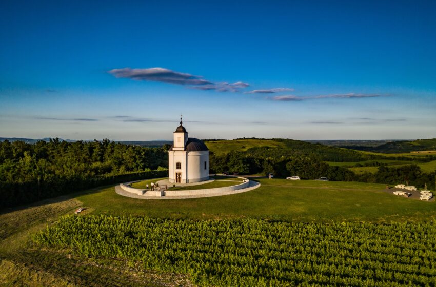  Hungría tierra de vinos