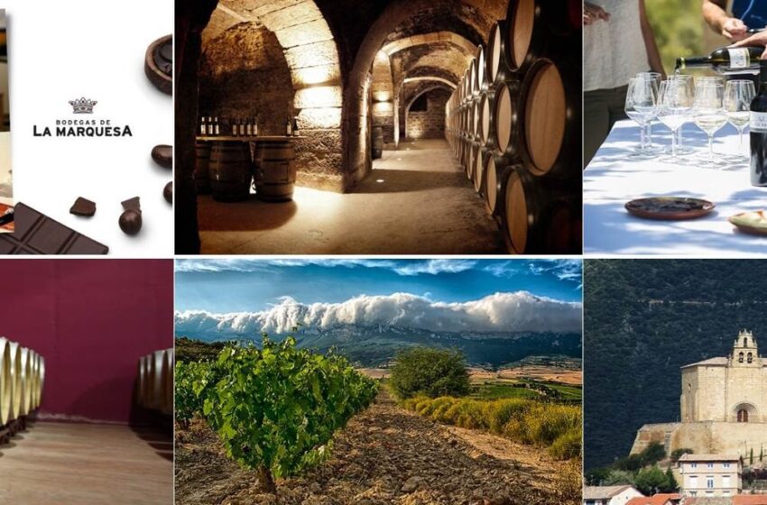  Experiencias `WIP´ en Rioja Alavesa