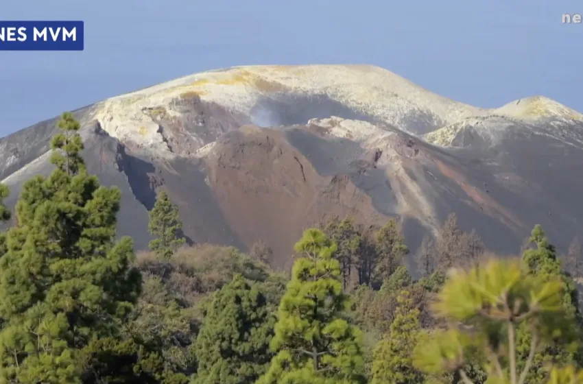  Ruta volcánica por La Palma  – Miradas Viajeras – Negocios TV – Movistar Plus+