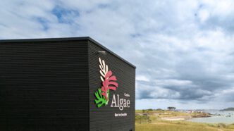Centro Algae en Plouguerneau, Bretaña. Foto: Fred Barat / Centre Algae.