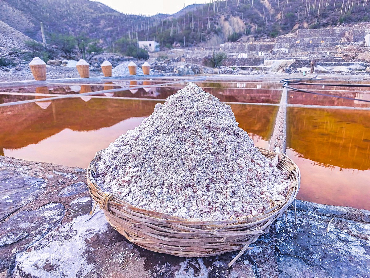 Cesta de sal en las salinas de Zapotitlán