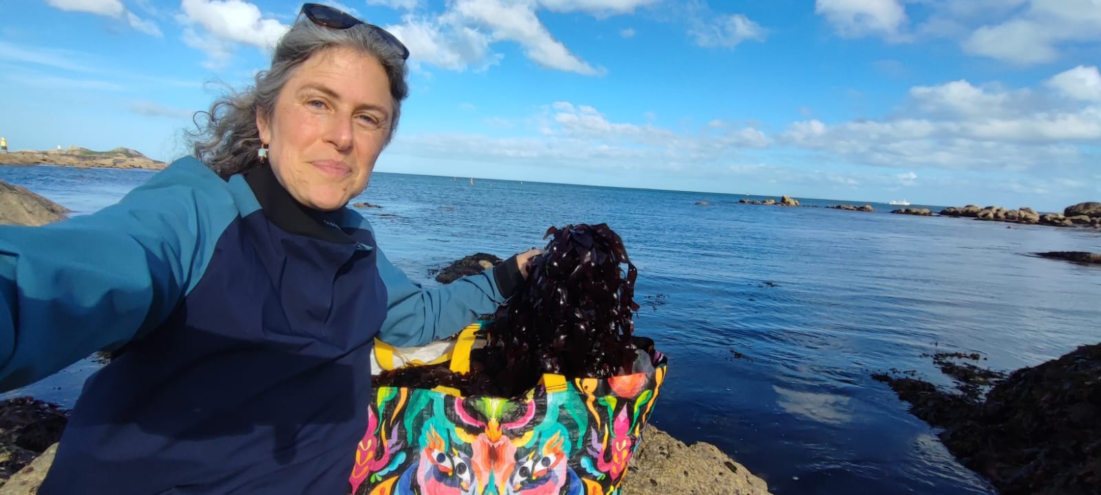 Salida de descubrimiento y recogida de algas en la costa bretona
